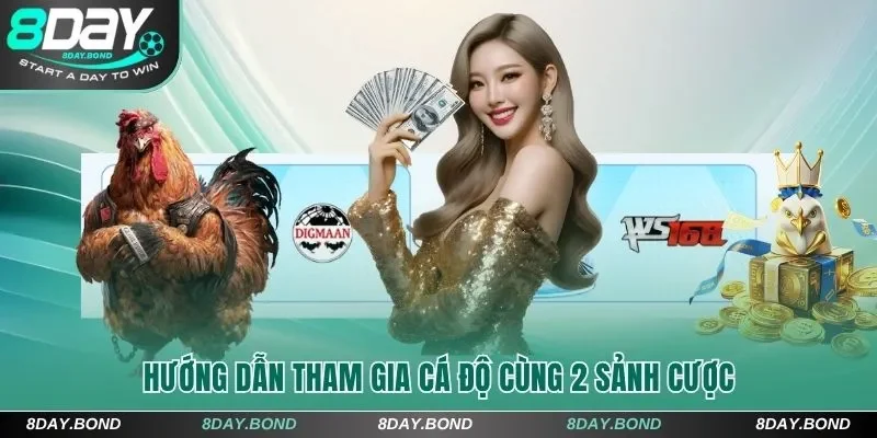 Hướng dẫn tham gia cá độ cùng 2 sảnh cược